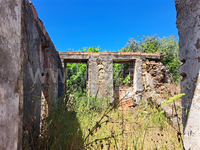 Terreno com ruina  Vila de Rei - 1327865 - 13