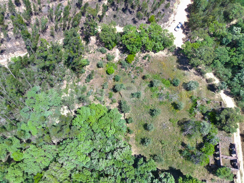 Terreno com ruina  Vila de Rei - 1327865 - 17