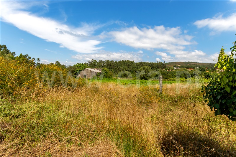 Terreno com ruina  Vila Nova de Cerveira, Candemil e Gondar - 1189073 - 3