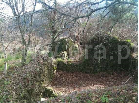 Terreno com ruina  Vila Nova de Cerveira, Candemil e Gondar - 1410597 - 5