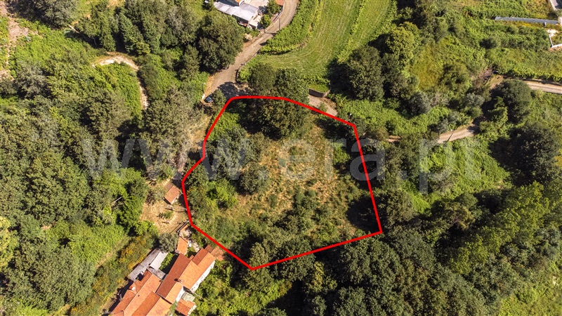 Terreno com ruina  Vila Nova de Cerveira, Candemil e Gondar - 1410597 - 13