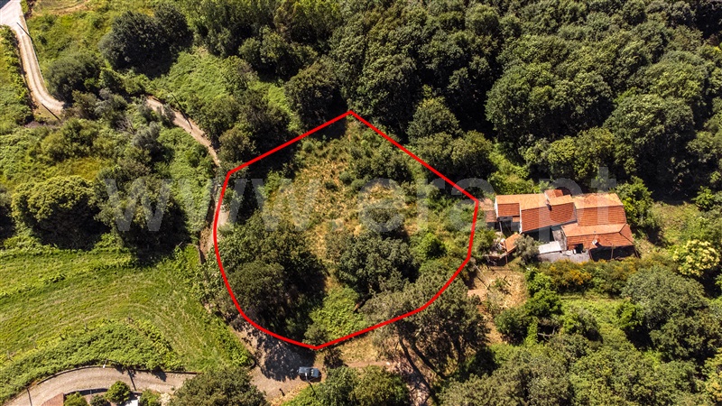 Terreno com ruina  Vila Nova de Cerveira, Candemil e Gondar - 1410597 - 14