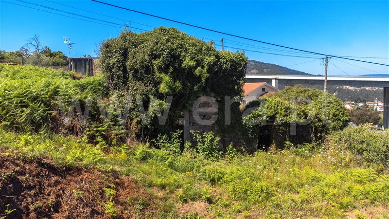 Terreno com ruina T2 Vila Nova de Cerveira, Cornes - 1336617 - 10