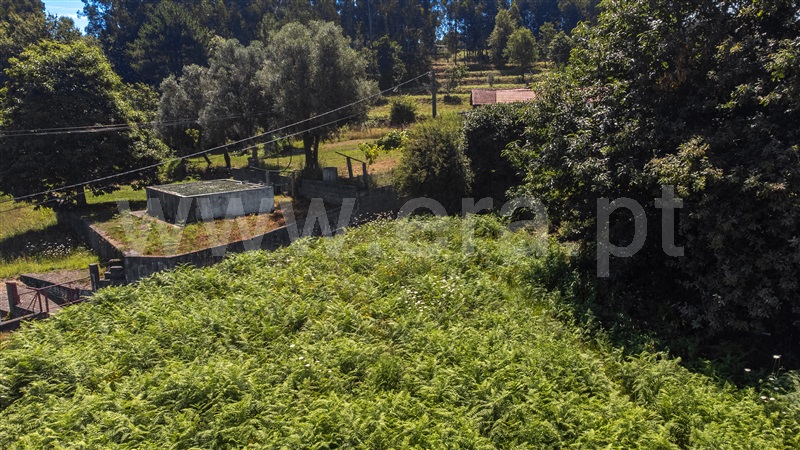 Terreno com ruina T2 Vila Nova de Cerveira, Cornes - 1336617 - 15