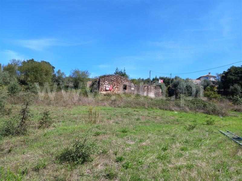 Terreno com ruina / Vila Nova de Poiares, São Miguel de Poiares
