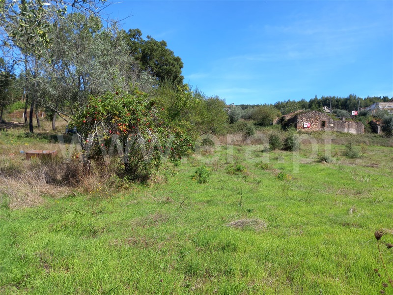 Terreno com ruina  Vila Nova de Poiares, São Miguel de Poiares - 1351416 - 3
