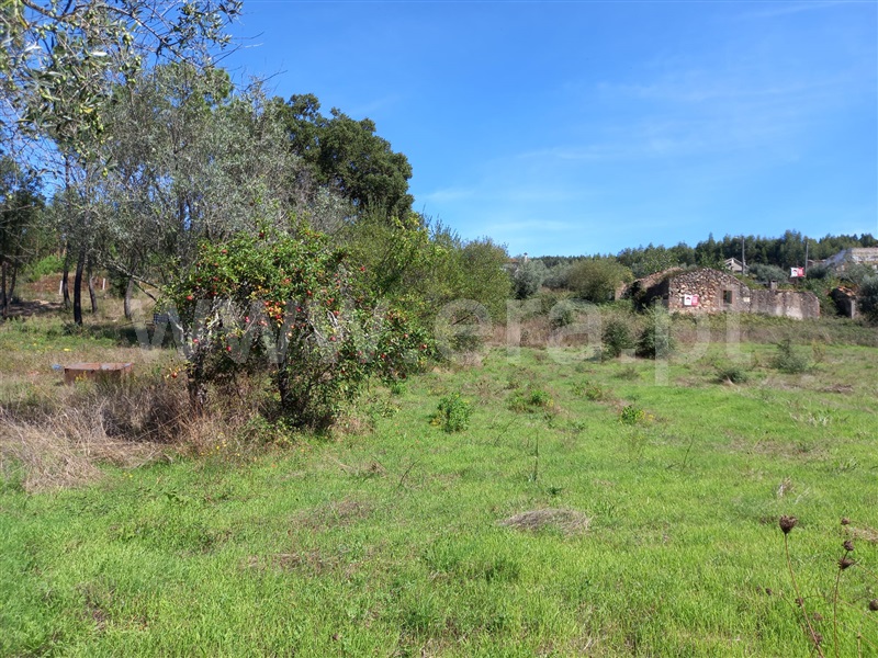 Terreno com ruina  Vila Nova de Poiares, São Miguel de Poiares - 1351416 - 4