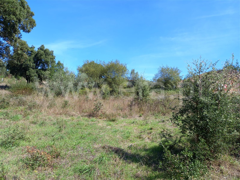 Terreno com ruina  Vila Nova de Poiares, São Miguel de Poiares - 1351416 - 5
