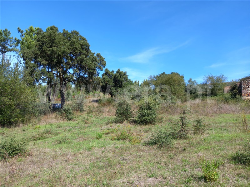 Terreno com ruina  Vila Nova de Poiares, São Miguel de Poiares - 1351416 - 7