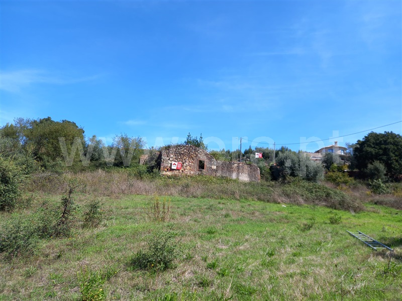 Terreno com ruina  Vila Nova de Poiares, São Miguel de Poiares - 1351416 - 8