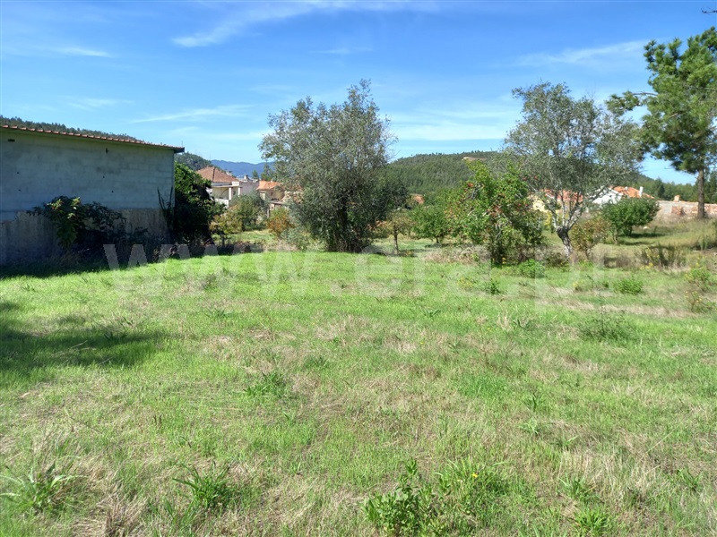 Terreno com ruina  Vila Nova de Poiares, São Miguel de Poiares - 1351416 - 9