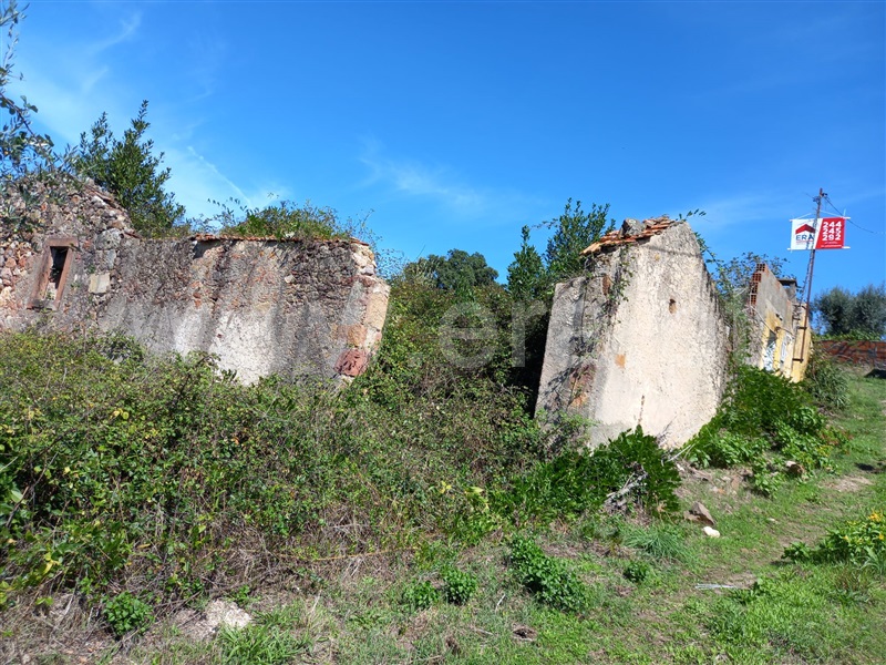 Terreno com ruina  Vila Nova de Poiares, São Miguel de Poiares - 1351416 - 10