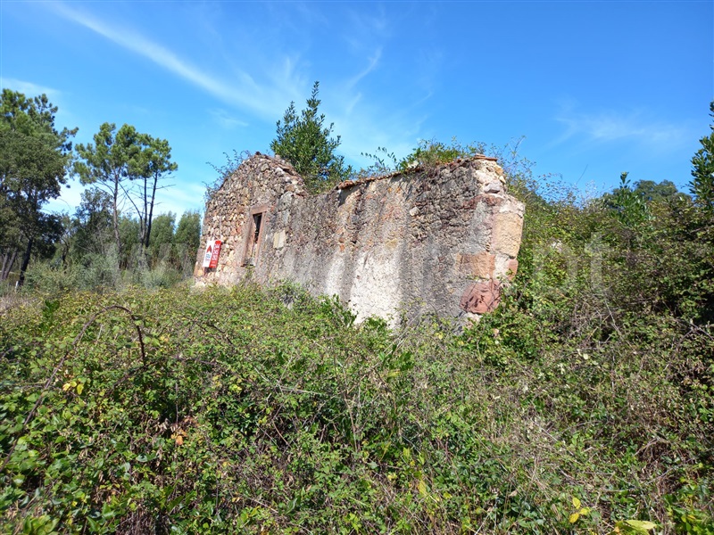 Terreno com ruina  Vila Nova de Poiares, São Miguel de Poiares - 1351416 - 12