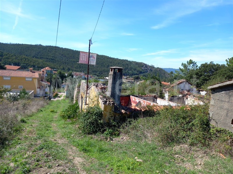 Terreno com ruina  Vila Nova de Poiares, São Miguel de Poiares - 1351416 - 14