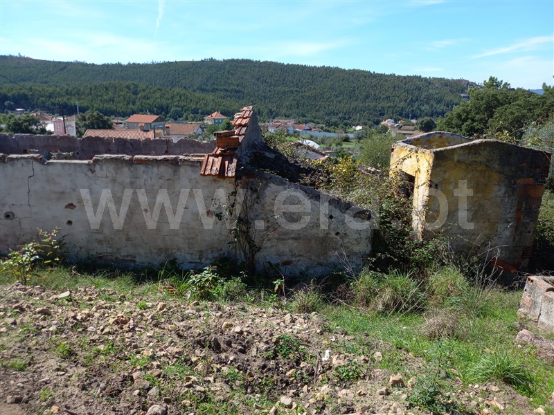 Terreno com ruina  Vila Nova de Poiares, São Miguel de Poiares - 1351416 - 15