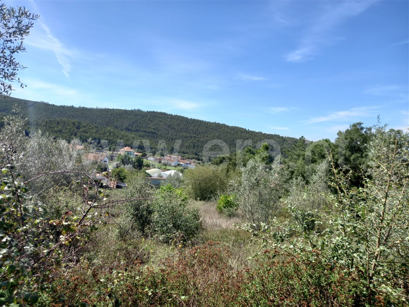 Terreno com ruina  Vila Nova de Poiares, São Miguel de Poiares - 1351416 - 17