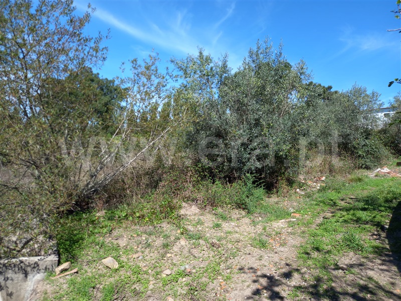 Terreno com ruina  Vila Nova de Poiares, São Miguel de Poiares - 1351416 - 18