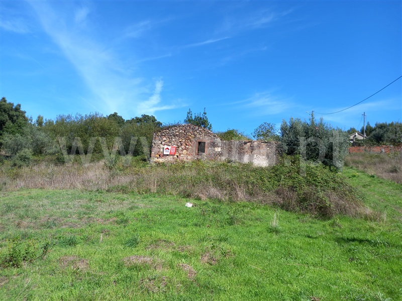 Terreno com ruina  Vila Nova de Poiares, São Miguel de Poiares - 1351416 - 19