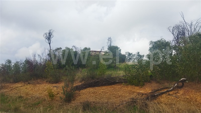 Terreno com ruina / Vila Real de Santo António, Vila Nova de Cacela