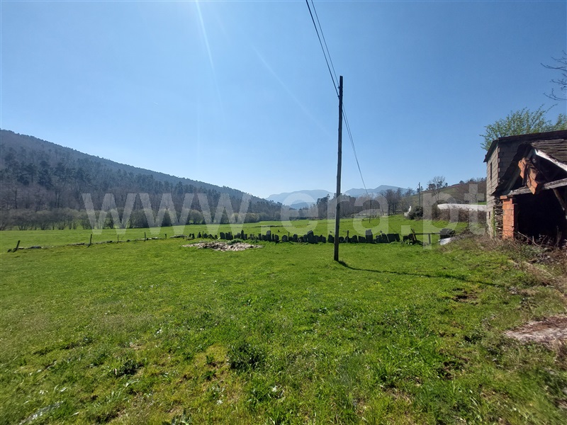 Terreno com ruina / Vila Real, Pena, Quintã e Vila Cova