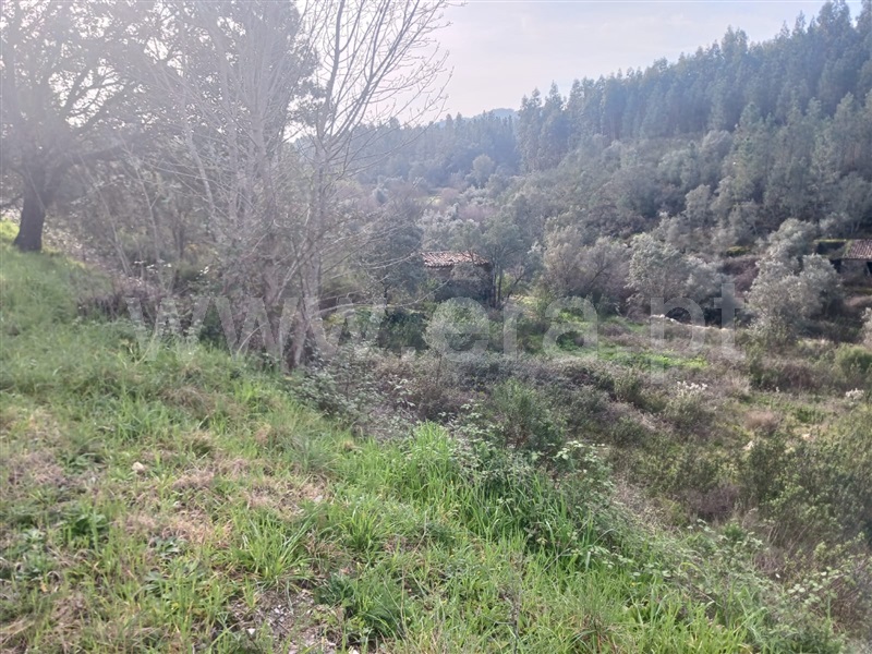 Terreno com ruina  Vila Velha de Rodão, Perdigão - 1377857 - 5