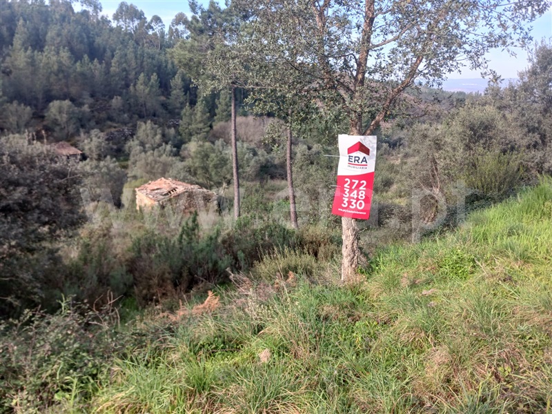 Terreno com ruina  Vila Velha de Rodão, Perdigão - 1377857 - 6