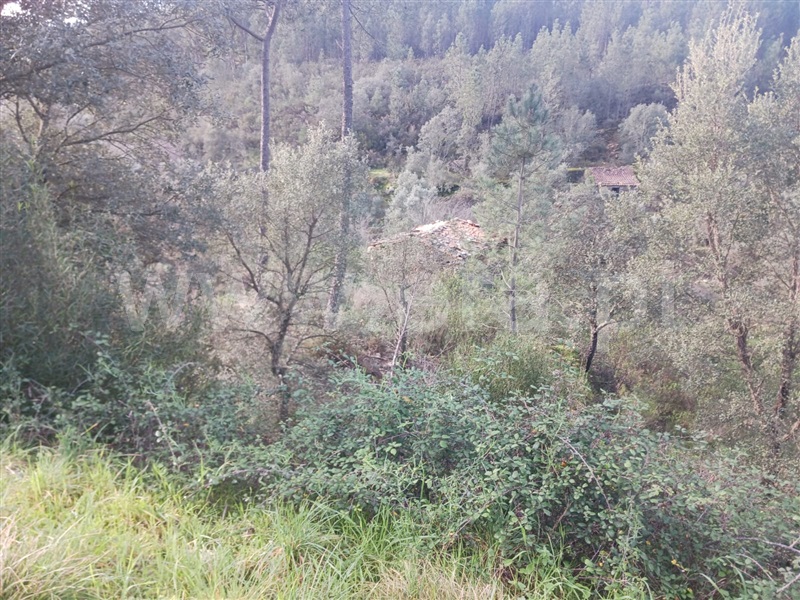 Terreno com ruina  Vila Velha de Rodão, Perdigão - 1377857 - 7