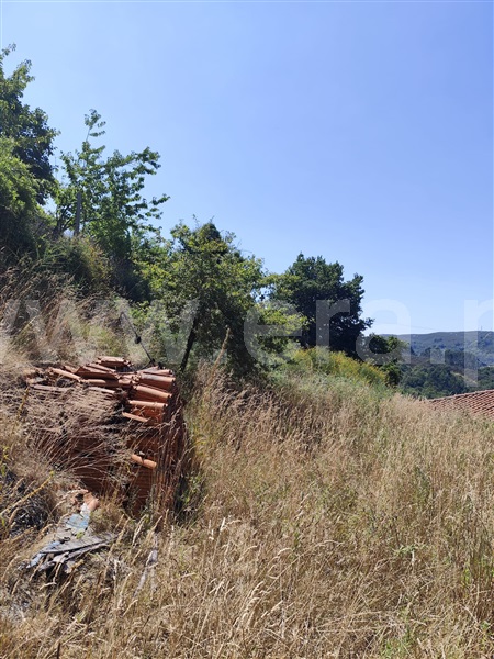 Terreno com ruina  Vila Verde, Aboim da Nóbrega e Gondomar - 1493320 - 3