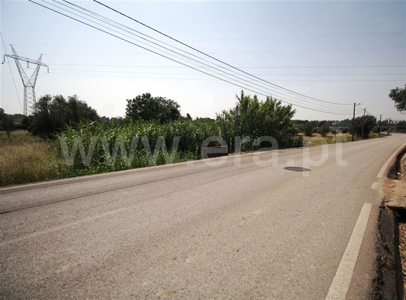 Terreno  Condeixa-a-Nova, Condeixa - 133832 - 3