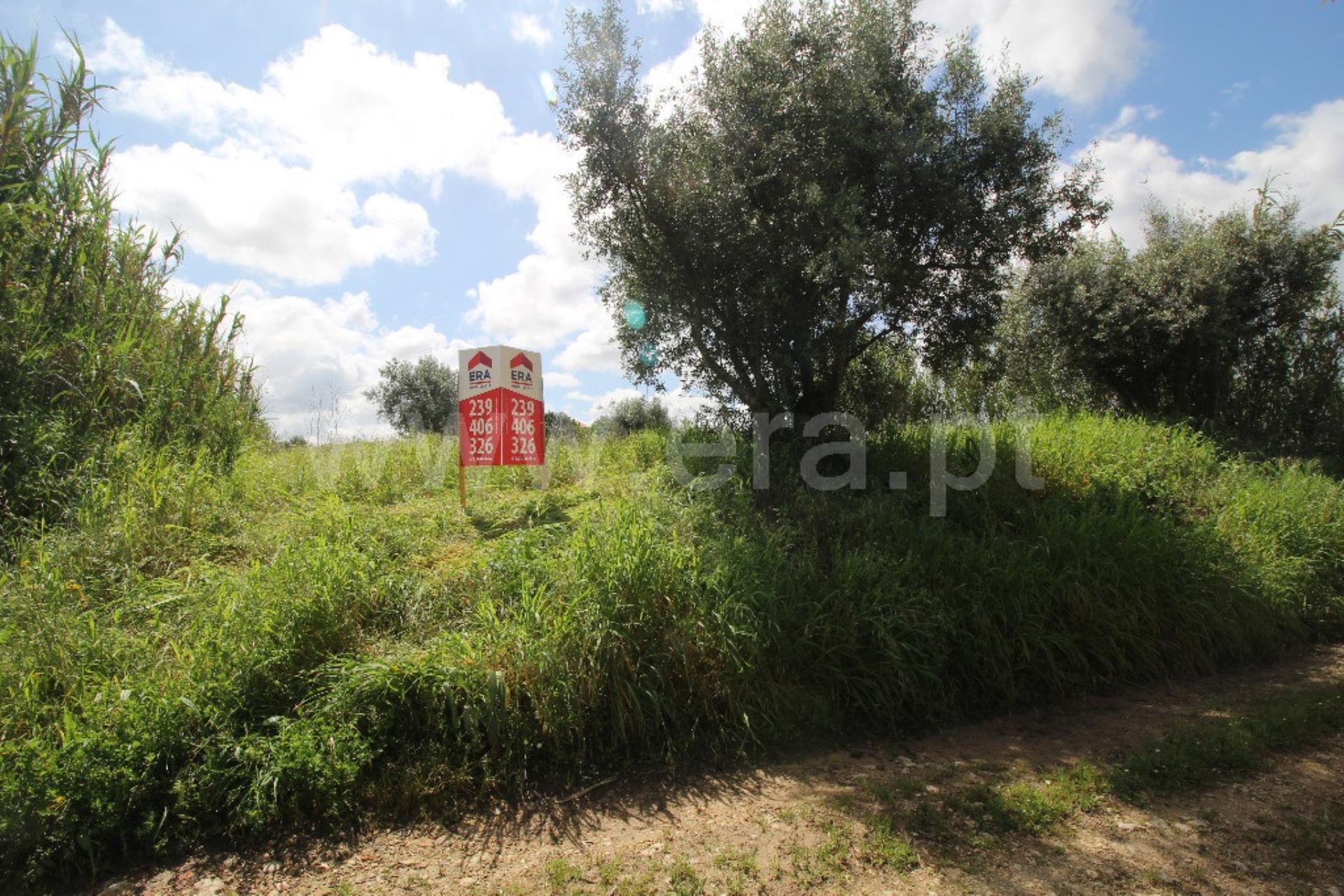 Land for sale in Condeixa-a-Nova, Portugal — €74,500