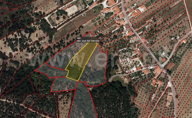 Terreno / Constância, Santa Margarida da Coutada