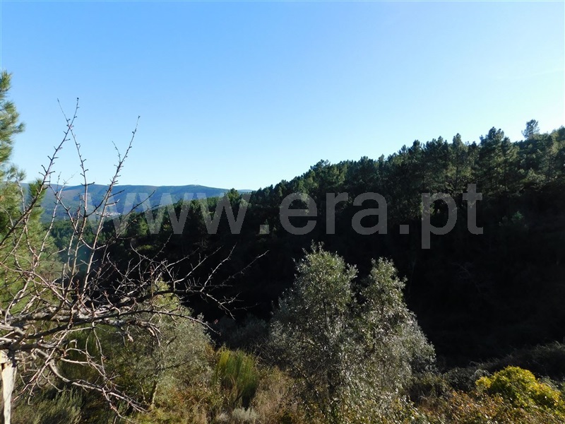 Terreno  Covilhã, Aldeia de São Francisco de Assis - 1083244 - 2