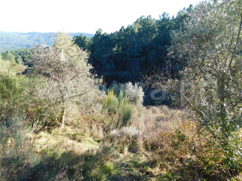 Terreno  Covilhã, Aldeia de São Francisco de Assis - 1083244 - 5