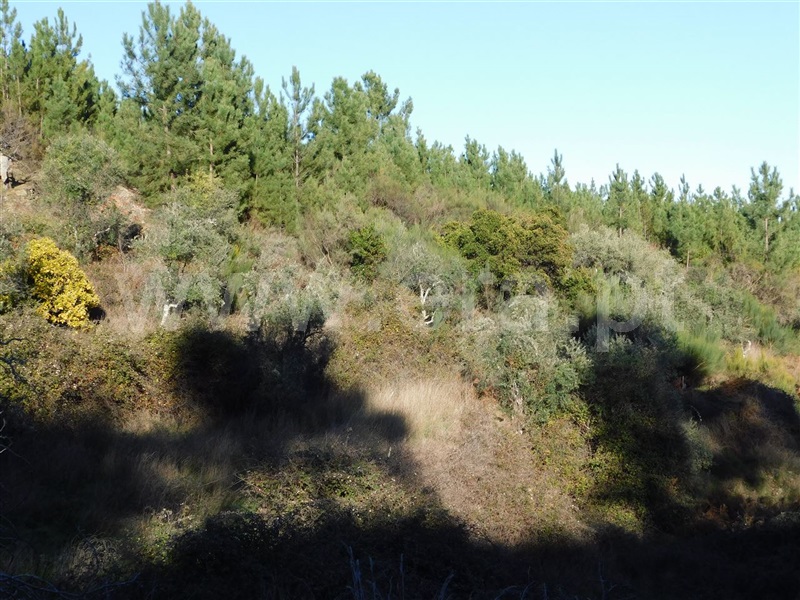 Terreno  Covilhã, Aldeia de São Francisco de Assis - 1083244 - 6