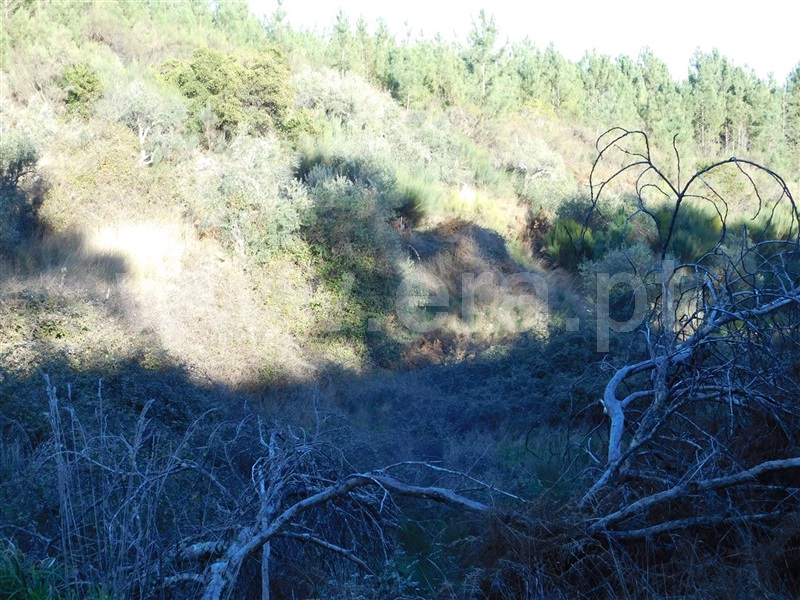Terreno  Covilhã, Aldeia de São Francisco de Assis - 1083244 - 8