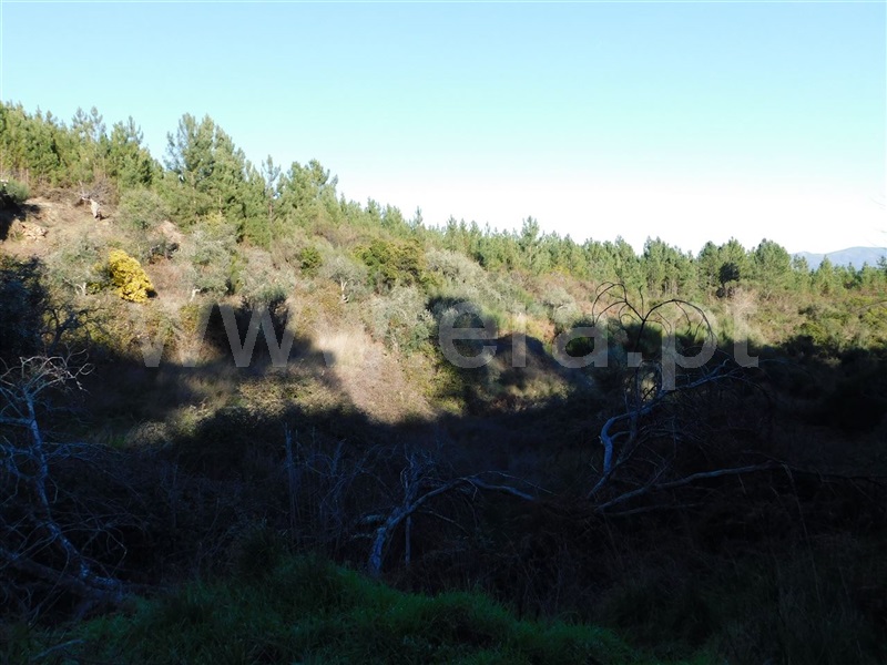 Terreno  Covilhã, Aldeia de São Francisco de Assis - 1083244 - 9