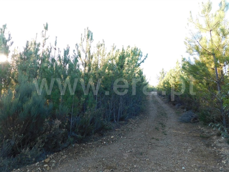 Terreno  Covilhã, Aldeia de São Francisco de Assis - 1083244 - 10