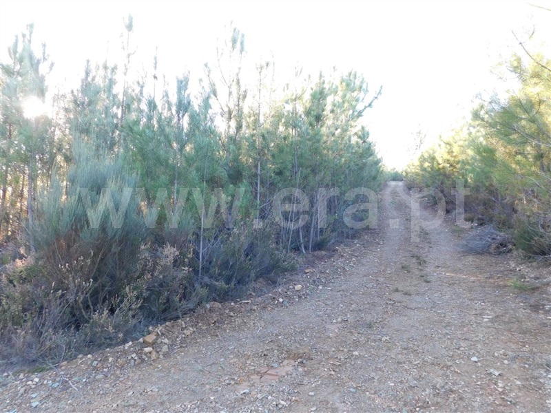 Terreno  Covilhã, Aldeia de São Francisco de Assis - 1083244 - 11