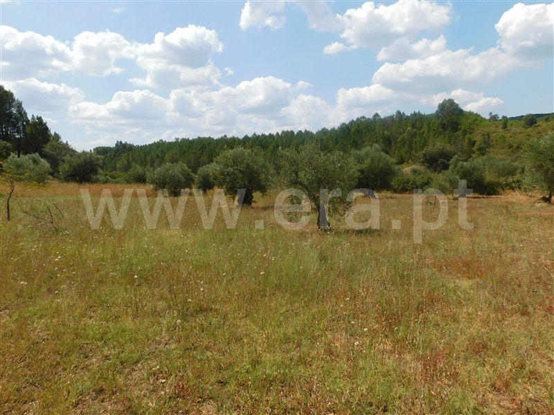 Terreno  Covilhã, Barco - 1036525 - 11