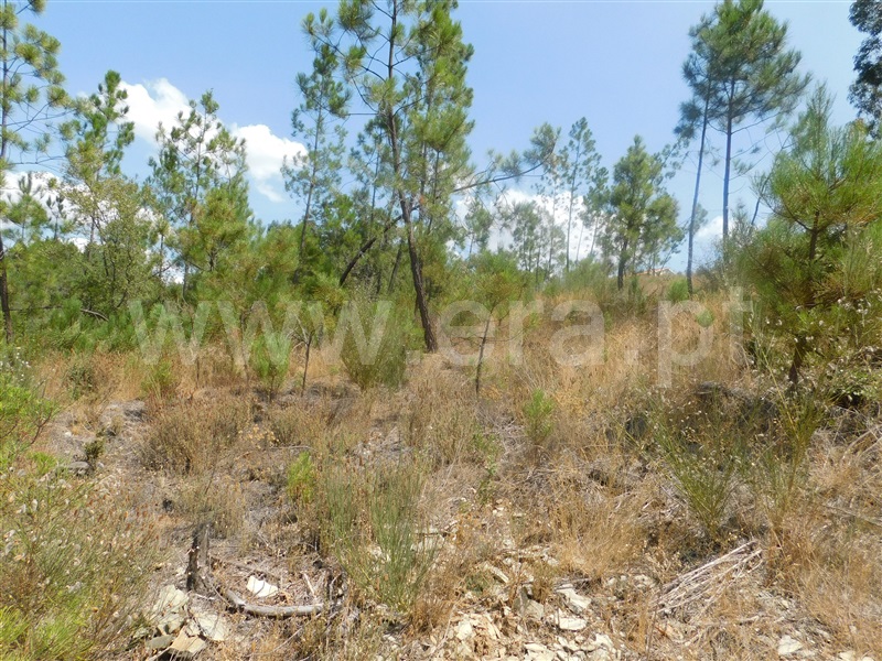 Terreno  Covilhã, Barco - 1036525 - 14