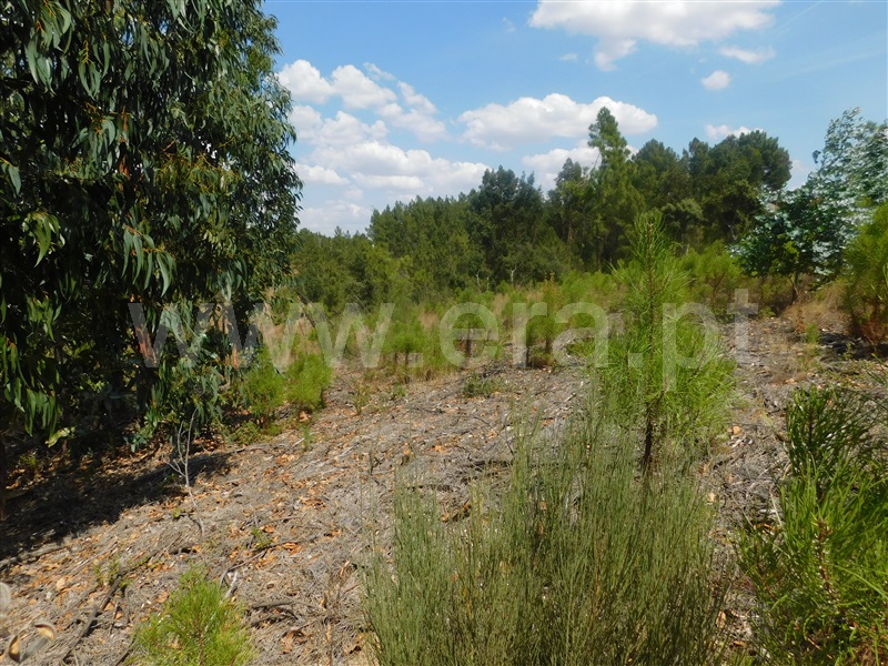 Terreno  Covilhã, Barco - 1036525 - 15