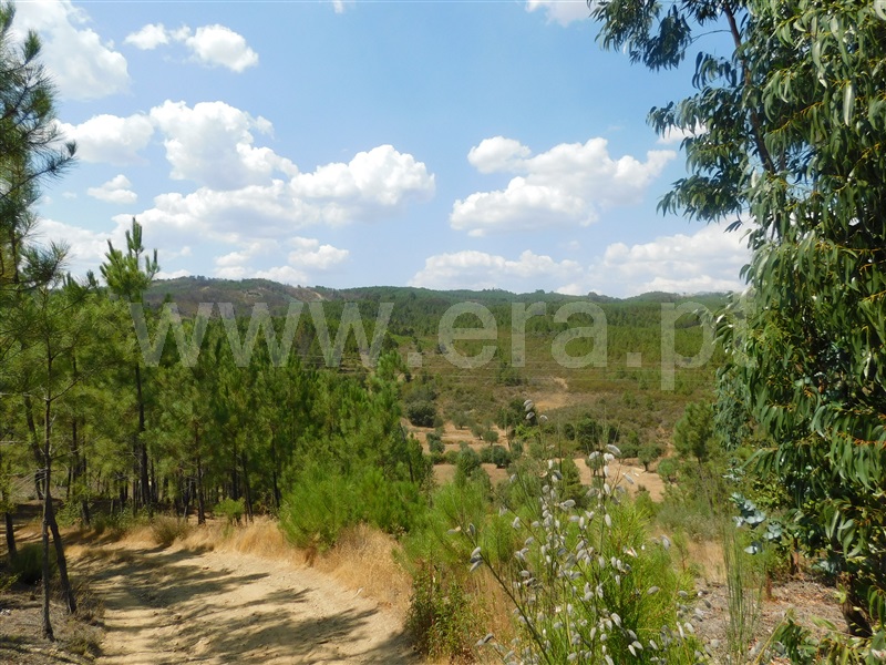 Terreno  Covilhã, Barco - 1036525 - 16