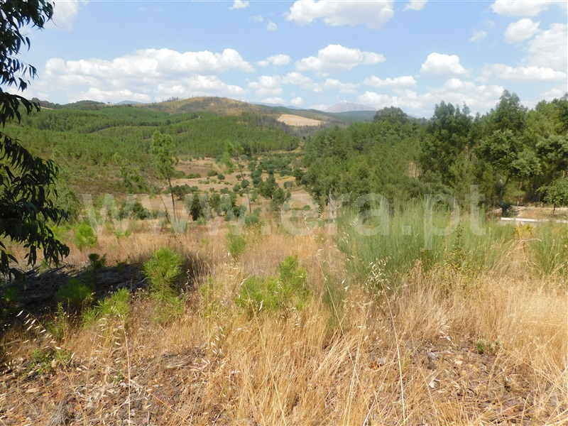Terreno  Covilhã, Barco - 1036525 - 18