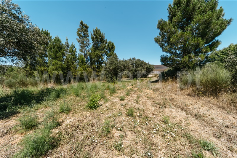 Terreno  Covilhã, Barco - 1403155 - 21