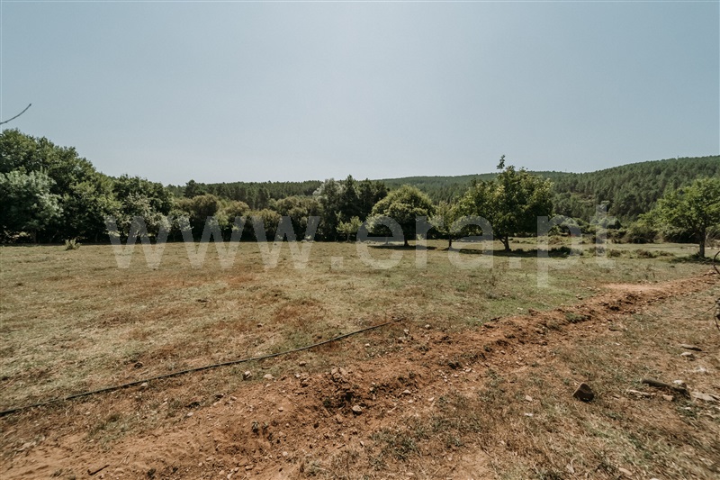 Terreno  Covilhã, Cortes do Meio - 1493654 - 22