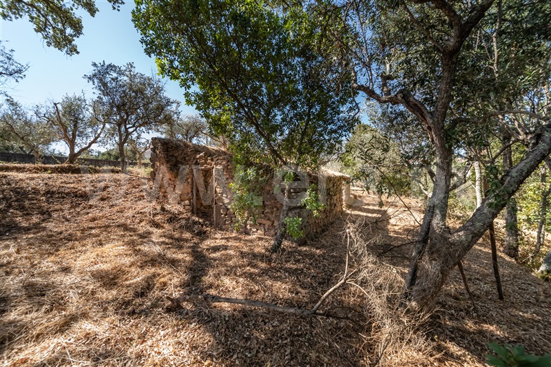Terreno Urbano  Covilhã, Dominguiso - 1508204 - 11