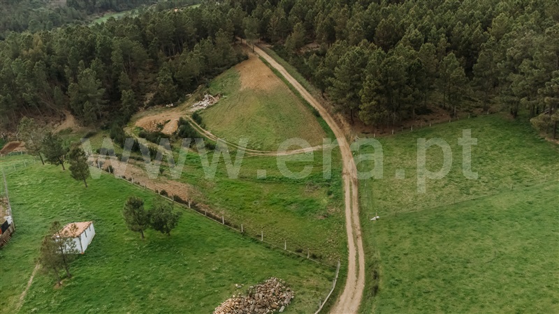 Terreno / Covilhã, Erada