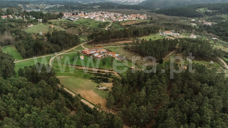 Terreno Rústico  com Rústico Covilhã, Erada - 1393152 - 6