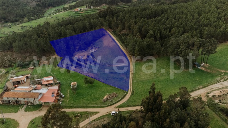 Terreno  com Rústico Covilhã, Erada - 1393152 - 35