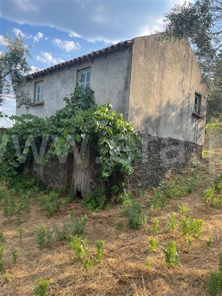 Terreno / Covilhã, Erada